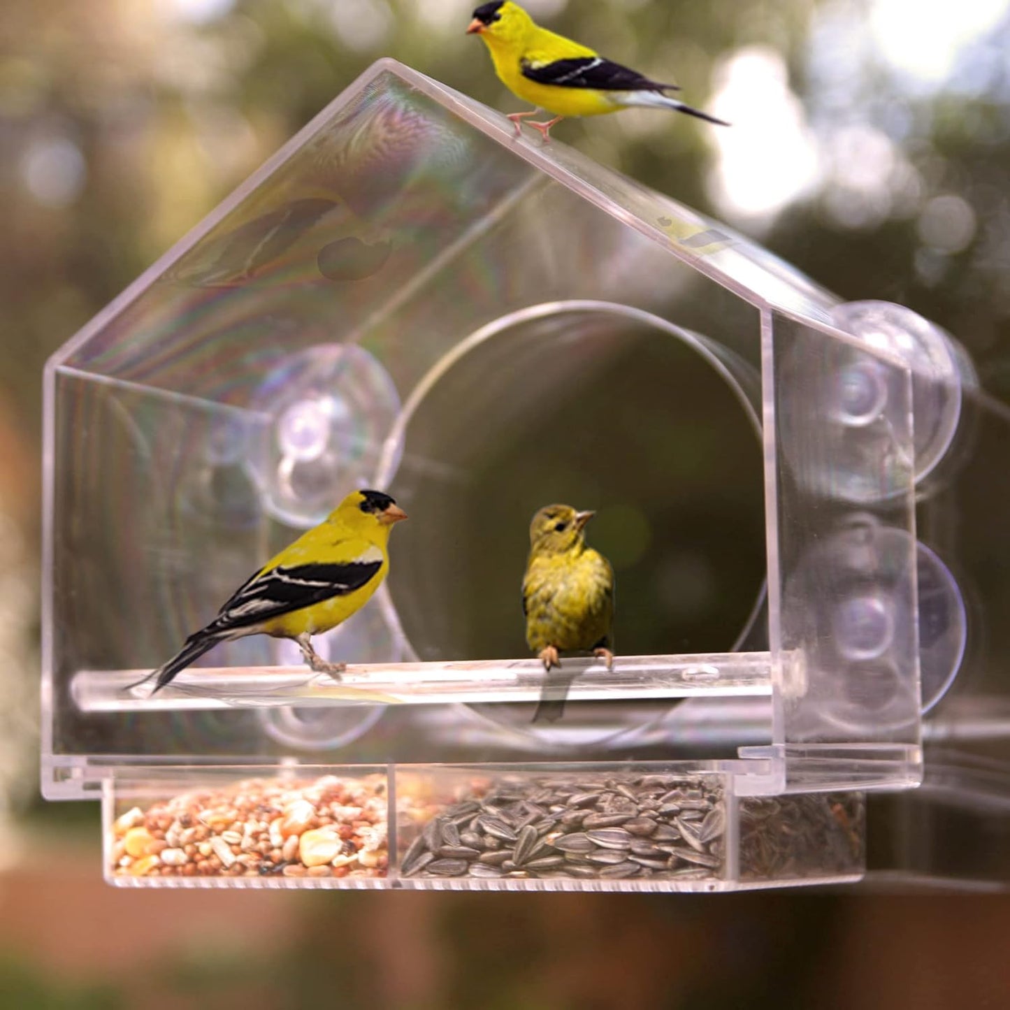 See-Through Window Bird Feeder with Strong Suction Grip - Perfect for Cats & Elderly Bird Watching, Easy Clean Design - Bring Nature Closer in Any Space